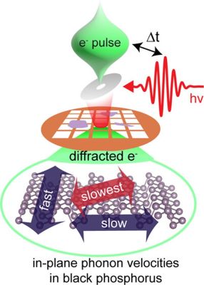 Directional Phonon Speed in Black Phosphorus for Better Heat Control